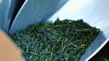 Cha Qi 茶气: de onzichtbare kracht van sublieme thee