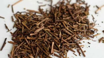 Oriental Beauty oolong (東方美人): het elegante gevecht tussen oxidatie, terroir en legende